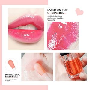 Hydrating Lip Glow Oil, Moisturizing Lip Glow Oil, Nourishing Glossy Transparent Lip Oil, Plumping Lip Oil, Lip Balm, Non-sticky Tinted Toot Lip Balm for Lip Care