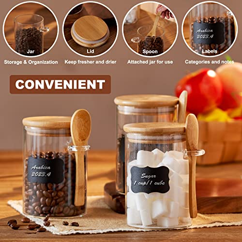 FyndraX Coffee Salts Sugar Container Jars, 15 Oz Glass Canister with Lids, Spoon and Labels for Tea, Nuts, Bath Salt, Spice, Overnight Oats and More Storage Canning, Pack of 3