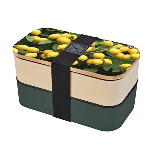 Lemons Premium Bento Lunch Box, 2 Compartments Leakproof Lunch Box With Cutlery For Adults, Microwave & Dishwasher Safe