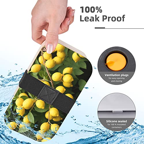 Lemons Premium Bento Lunch Box, 2 Compartments Leakproof Lunch Box With Cutlery For Adults, Microwave & Dishwasher Safe