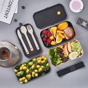 Lemons Premium Bento Lunch Box, 2 Compartments Leakproof Lunch Box With Cutlery For Adults, Microwave & Dishwasher Safe