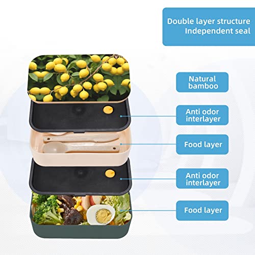 Lemons Premium Bento Lunch Box, 2 Compartments Leakproof Lunch Box With Cutlery For Adults, Microwave & Dishwasher Safe