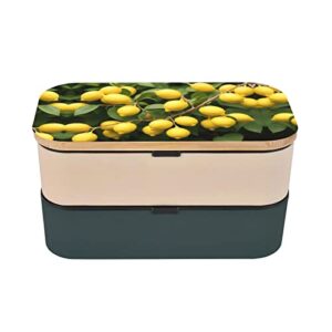 Lemons Premium Bento Lunch Box, 2 Compartments Leakproof Lunch Box With Cutlery For Adults, Microwave & Dishwasher Safe