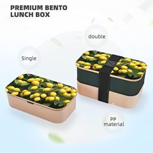 Lemons Premium Bento Lunch Box, 2 Compartments Leakproof Lunch Box With Cutlery For Adults, Microwave & Dishwasher Safe