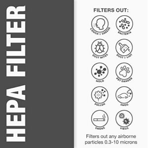 Aerostar HEPA Replacement Air Purifier Filter for Winix Filter A, 115115, 5500-2, C535 & Others (2 HEPA + 8 Carbon Prefilters)