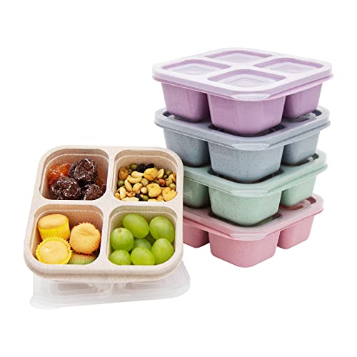 rngwaper 5 Pack Bento Lunch Box，4 Compartment Snack Containers，Divided Bento Snack Box，Meal Prep, Lunch Box Kids/Toddle/Adults,Food Storage Containers for School, Work and Travel (Multicolor-1)