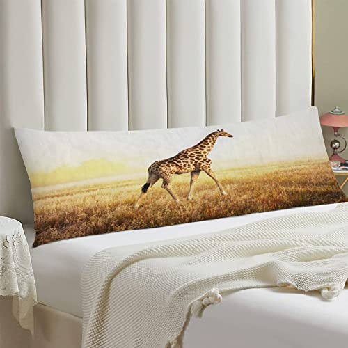 AIRMARK Body Pillow Cover,African Giraffe Nature Printed Long Pillow Cases Protector with Zipper Decor Soft Large Covers Cushion for Beding,Couch,Sofa,Home Gift 20"x54"