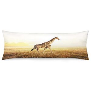 AIRMARK Body Pillow Cover,African Giraffe Nature Printed Long Pillow Cases Protector with Zipper Decor Soft Large Covers Cushion for Beding,Couch,Sofa,Home Gift 20"x54"