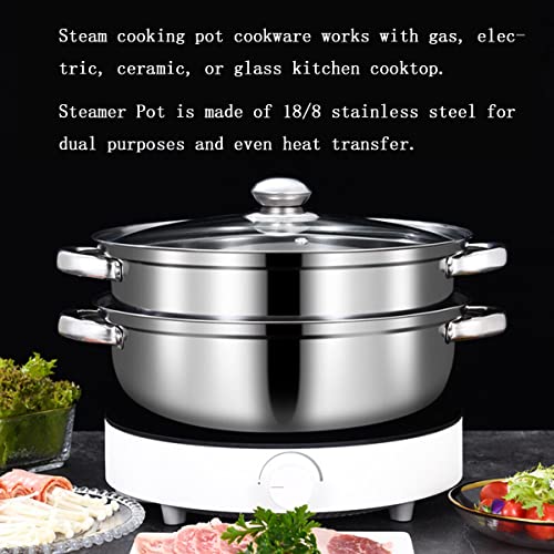 Steamer Pot Stainless Steel 2 Tier - Steam Pot with Lid Food Vegetable Cooker Pot Cooking Pan Steaming Pot Dim Sum Cookware Steamer For Kitcken Cooking Tool