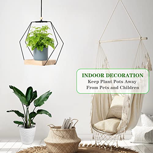 Kitypartsy Plant Hanger with Wood Base - Hanging Plant Holder, Hanging Planter/Pot for Indoor Plants Boho Macrame for Wall/Window/Room Decor, Black - Hexagon (Planter/Plants Not Included)