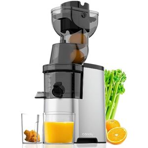 masticating juicer, 300w professional slow juicer with 3.5-inch (88mm) large feed chute for nutrient fruits and vegetables, cold press electric juicer machines with high juice yield, easy cleaning