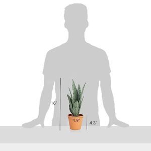 Mkono Artificial Snake Plant 16 Inch Small Fake Sansevieria Tree Potted Plants Faux Desk Plant Indoor Plant Decor in Terracotta Plastic Pot for Table Shelf Bathroom Bedroom Home Office