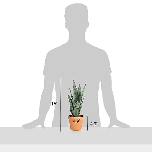 Mkono Artificial Snake Plant 16 Inch Small Fake Sansevieria Tree Potted Plants Faux Desk Plant Indoor Plant Decor in Terracotta Plastic Pot for Table Shelf Bathroom Bedroom Home Office