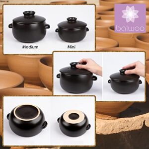 BALWOO Korean Earthenware Pot Ttukbaegi, Ceramic Clay Cooking Pot Petalite Casserole, Heat Resistant Ceramic Pot, Zero-Crack Stone Bowl Stockpot Soup Cookware (Mini)