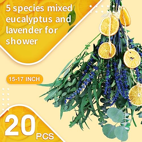 5 Kinds Mix Dried Eucalyptus & Lavender Flowers for Shower Bundle, 15''-17''Natural Real Fresh Preserved Eucalyptus Leaves and Lemon Hanging Plants, Home Bathroom Decor, Fragrance