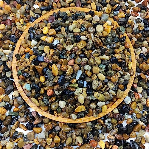 FANTIAN 5 Lb Natural River Pebbles Pea Gravel for Indoor Plants,1/4 Inch Decorative River Rocks for Aquarium, Succulent, Vase Fillers, Fish Tank Rocks, Plant Soil Cover and Outdoor Landscaping Rocks