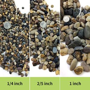 FANTIAN 5 Lb Natural River Pebbles Pea Gravel for Indoor Plants,1/4 Inch Decorative River Rocks for Aquarium, Succulent, Vase Fillers, Fish Tank Rocks, Plant Soil Cover and Outdoor Landscaping Rocks