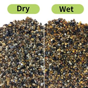 FANTIAN 5 Lb Natural River Pebbles Pea Gravel for Indoor Plants,1/4 Inch Decorative River Rocks for Aquarium, Succulent, Vase Fillers, Fish Tank Rocks, Plant Soil Cover and Outdoor Landscaping Rocks