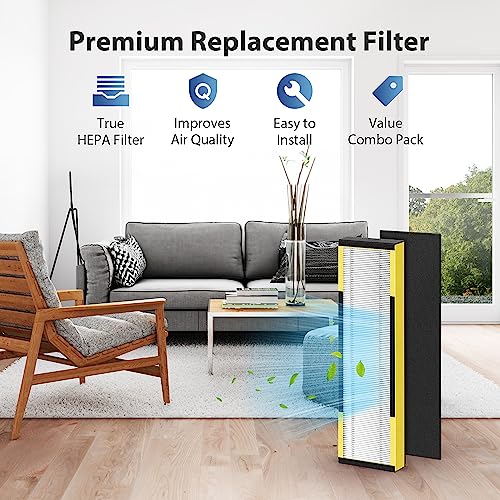 FLT4825 Filter B Replacement for Guardian, CHIVALZ True HEPA Replacement Filter, Compatible with Guardian Air Purifier AC4825 AC4300 AC4800 AC4900 AC4850, 2 H13 Hepa Filters + 8 Carbon Filters