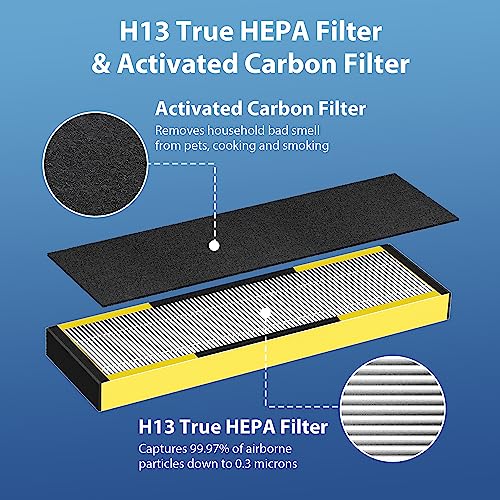 FLT4825 Filter B Replacement for Guardian, CHIVALZ True HEPA Replacement Filter, Compatible with Guardian Air Purifier AC4825 AC4300 AC4800 AC4900 AC4850, 2 H13 Hepa Filters + 8 Carbon Filters