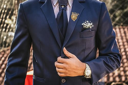 Crown Pel Pin for Men,Vintage Lapel Pin for Men Suits Enamel Backpacks Pins Coat Jacket Lion King Crown Pin Graduation Dress Crystal Brooch Badge (Old gold)