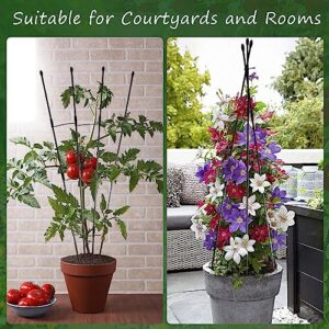 𝑨𝒇𝒂𝒏𝒆𝒄𝒉𝒐 2Packs Trellis for Climbing Plants Outdoor and Indoor, 47.24inch Garden Rustproof Plant Trellis Support Grows Lattice for Indoor Plants Trellis for Potted Flowers Tomatoes, or Vines