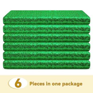 6 Panels Green Backdrop Curtains 2FTx8FT Glitter Green Party Backdrop for Baby Shower Photography Stage Wedding Party Stage Decorations