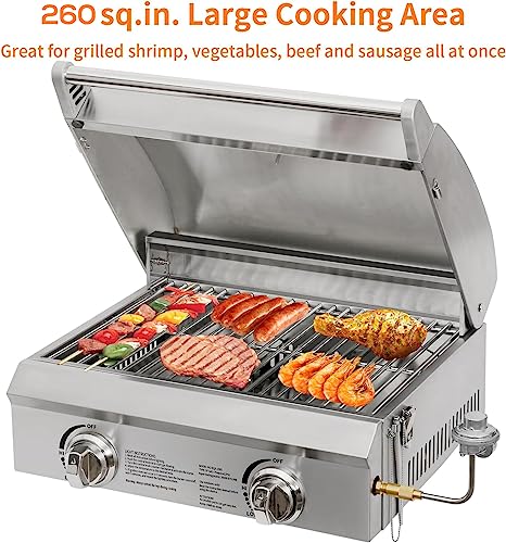 Hykolity 20 in. Portable Propane Grill, 20,000 BTU Stainless Steel Tabletop Propane Gas Grill with Travel Locks, Built in Thermometer, Propane Grill for Camping, Outdoor, Cooking, Tailgating