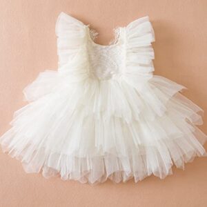 TTYAOVO Baby Girl Dresses Flower Birthday Party Tulle Princess Gown Size 80(6-12 Months, 61 Beige)