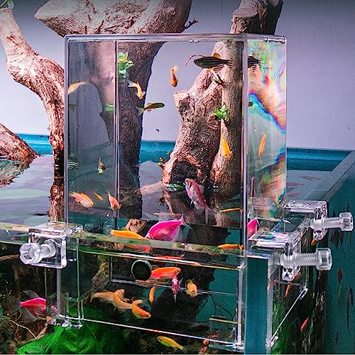 TREELF Complete Set of Negative Pressure Fish Tank Floating Betta Fish Tank Mini Suspended Fish Bowl Ecological Aquarium with Landscaping and Decoration for Small Space Living Room or Desktop