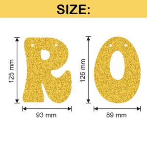 Older Wiser Hotter Glitter Banner - Gold | Fun Birthday Party Decorations, 30th Birthday Decor, HBD, Gag Gift, Photobooth Backdrop (gold)