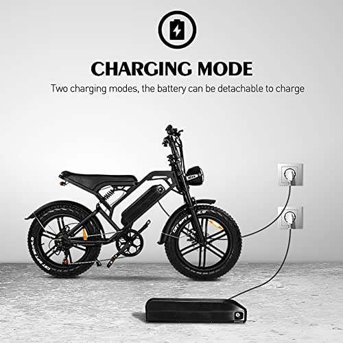 Electric Bike for Adults 750W Motor, Ebike 20" Fat Tire 48V 15AH Removable Battery 28MPH & up to 37 Miles Long Range, 7 Speed Double Suspension Electric Dirt Bike for Off Road Snow Beach Mountain