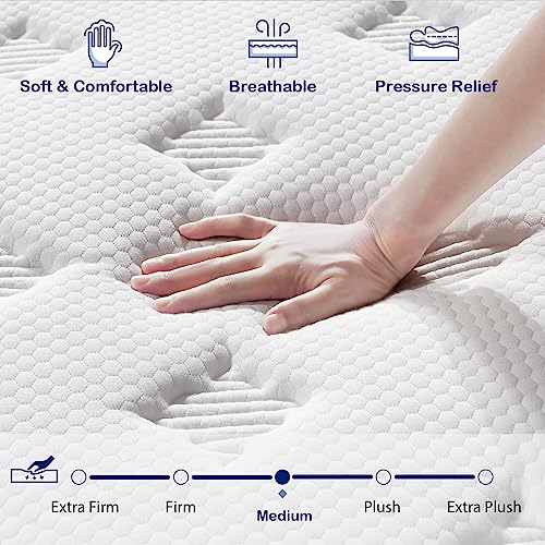 EEN EEN SLEEP California King Mattress, 12 Inch Hybrid Cal King Mattress Foam and Individually Wrapped Pocket Coils, Soft and Breathable, Pressure Relief, Strong Edge Support, Medium Firm