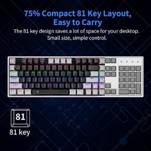 HUO JI E-Yooso Z-88 RGB Mechanical Gaming Keyboard, Metal Panel, Red Switch, 75% Compact 81 Keys for Mac, PC, Black and Grey