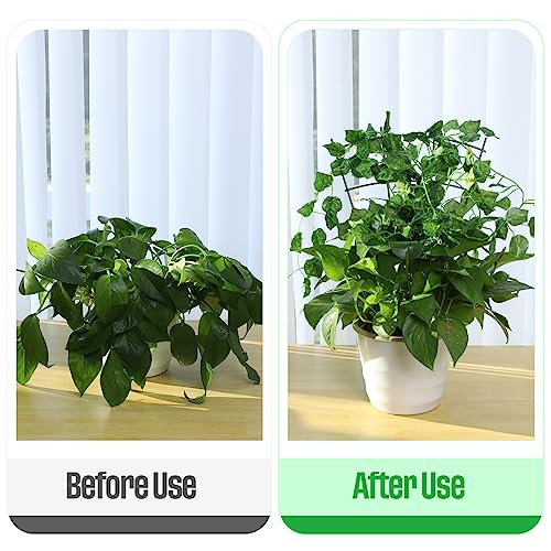 Zhehao 10 Pack Indoor Plant Trellis for Potted Plants Climbing, Outdoor Metal Garden Trellis Houseplants Patio Plant Support for Outdoor Plants Trellis for Rose, Fan Shape, Green (16 Inches High)