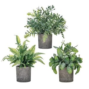 daxi events 3 pack mini potted artificial plants,fake greenery plants, faux plastic plants topiaries indoor,small decor for home bathroom farmhouse office room desk shelf table centerpieces
