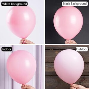 PartyWoo Baby Pink Balloons, 125 pcs Pink Balloons Different Sizes Pack of 36 Inch 18 Inch 12 Inch 10 Inch 5 Inch for Balloon Garland as Birthday Decorations, Party Decorations, Wedding Decorations