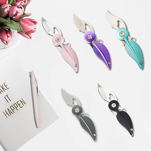 SWBIYING Pocket Knives & Folding Knives,Small Pocket Knife Set,Mini Pocket Knife for Women,Edc Knife with Chain,Cool Knives,Cool Gadgets,Cute Key Accessories(Purple)