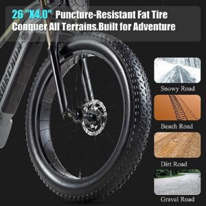 DAMSON Electric Bike 1000W Folding Ebike for Adult 48V 20AH Removable Battery 26"X4"Fat Tire up to 30MPH &75 Miles Long Range Off Road Beach Mountain Electric Bicycle with Dual Hydraulic Disc Brakes