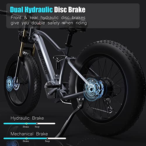 DAMSON Electric Bike 1000W Folding Ebike for Adult 48V 20AH Removable Battery 26"X4"Fat Tire up to 30MPH &75 Miles Long Range Off Road Beach Mountain Electric Bicycle with Dual Hydraulic Disc Brakes