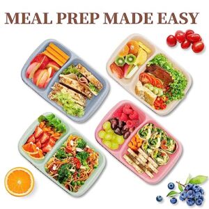 Luriseminger 4 Pack Bento Lunch Box，2 Compartment Snack Containers，Meal Prep Containers Kids/Toddle/Adults,Food Storage Containers for School, Work and Travel (2 Compartment-Multicolor)