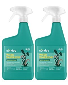 sunday weed warrior, 32oz, 2 pack - grass & weed killer - organic, ready-to-use weed killer spray - herbicide spot treatment - kills weeds, grass, algae and moss