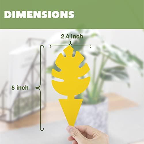 30 Pcs Yellow Sticky Trap for Indoor Gnats Dual Sided by Grow Margo - Fruit Fly Traps for Indoors - Plant Sticky Traps for Gnats - Plant Gnat Stix - Plant Fly Sticky Trap Sticks (1 Pack (30 pcs))