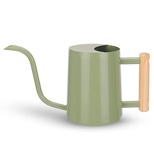 CEWOR Watering Can Indoor Plants Sage Green 35 oz Cute Watering Can Indoor Metal Watering Can Pot with Long Spout for Indoor House Plants Bonsai Outdoor Garden Flower Decorative