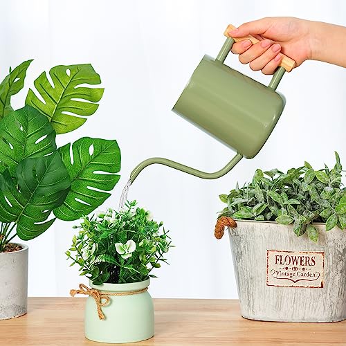 CEWOR Watering Can Indoor Plants Sage Green 35 oz Cute Watering Can Indoor Metal Watering Can Pot with Long Spout for Indoor House Plants Bonsai Outdoor Garden Flower Decorative