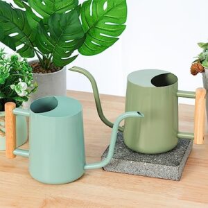 CEWOR Watering Can Indoor Plants Sage Green 35 oz Cute Watering Can Indoor Metal Watering Can Pot with Long Spout for Indoor House Plants Bonsai Outdoor Garden Flower Decorative