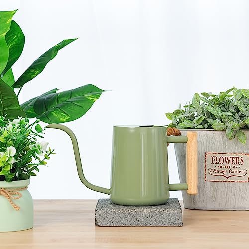 CEWOR Watering Can Indoor Plants Sage Green 35 oz Cute Watering Can Indoor Metal Watering Can Pot with Long Spout for Indoor House Plants Bonsai Outdoor Garden Flower Decorative