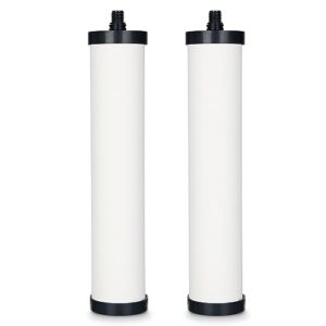 percola frc06 water filter, compatible with frcnstr/frc06, frcnstr100/frc06 water filter and franke still pure under-sink filtration system, 2 pack