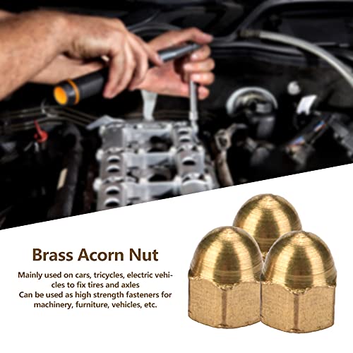 Brass Acorn Nut Kit Dome Brass Acorn Nuts, Silicone Caulking Tool Head Cap Hex Nuts Set Vehicle Fasteners (M3(20PCS))