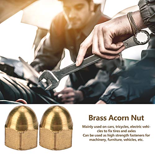 Brass Acorn Nut Kit Dome Brass Acorn Nuts, Silicone Caulking Tool Head Cap Hex Nuts Set Vehicle Fasteners (M3(20PCS))